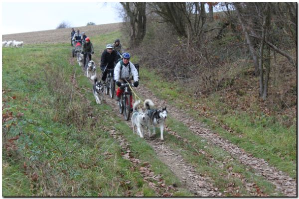 Tour Taunus 213.jpg